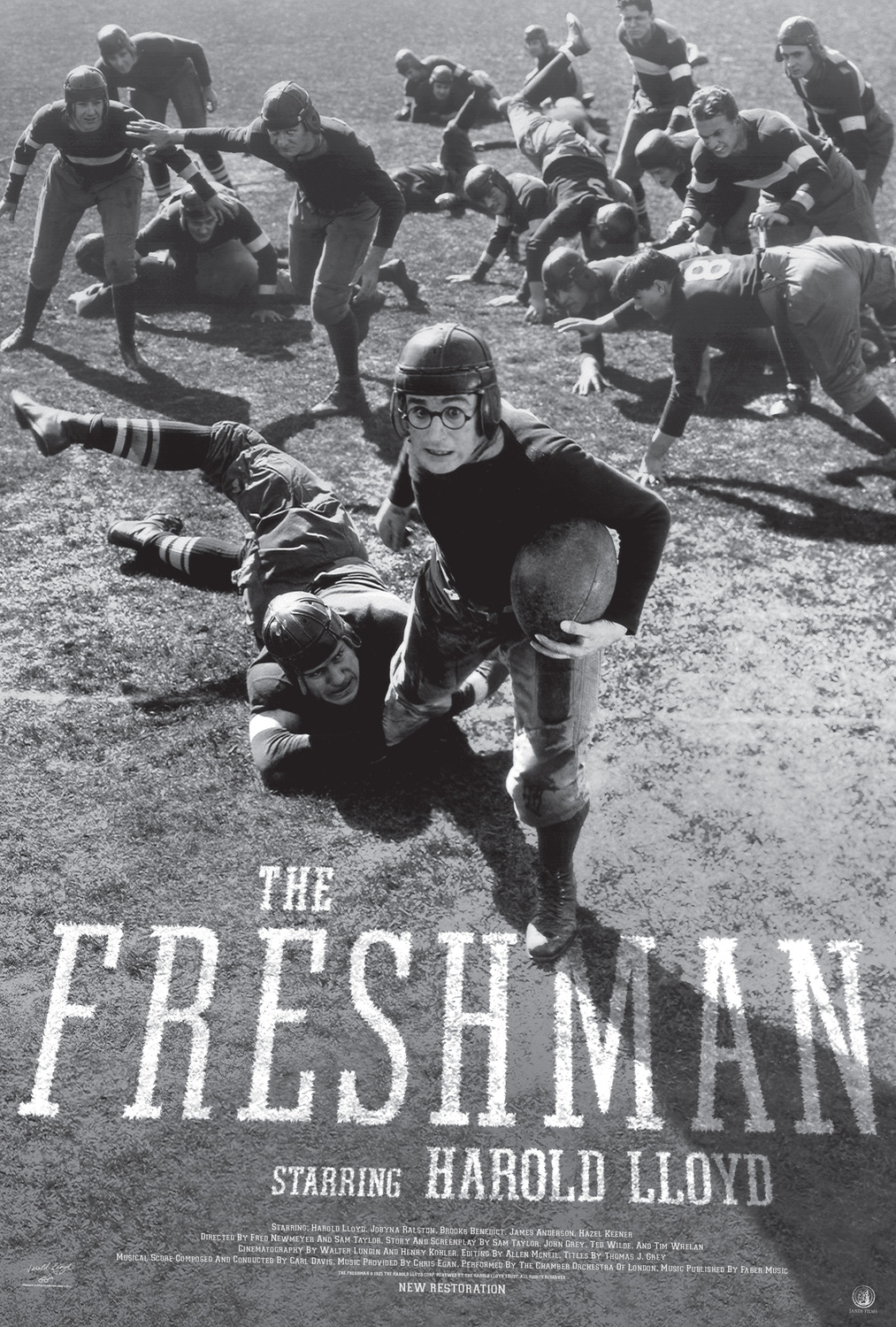 Extra Large Movie Poster Image for The Freshman (#3 of 3)