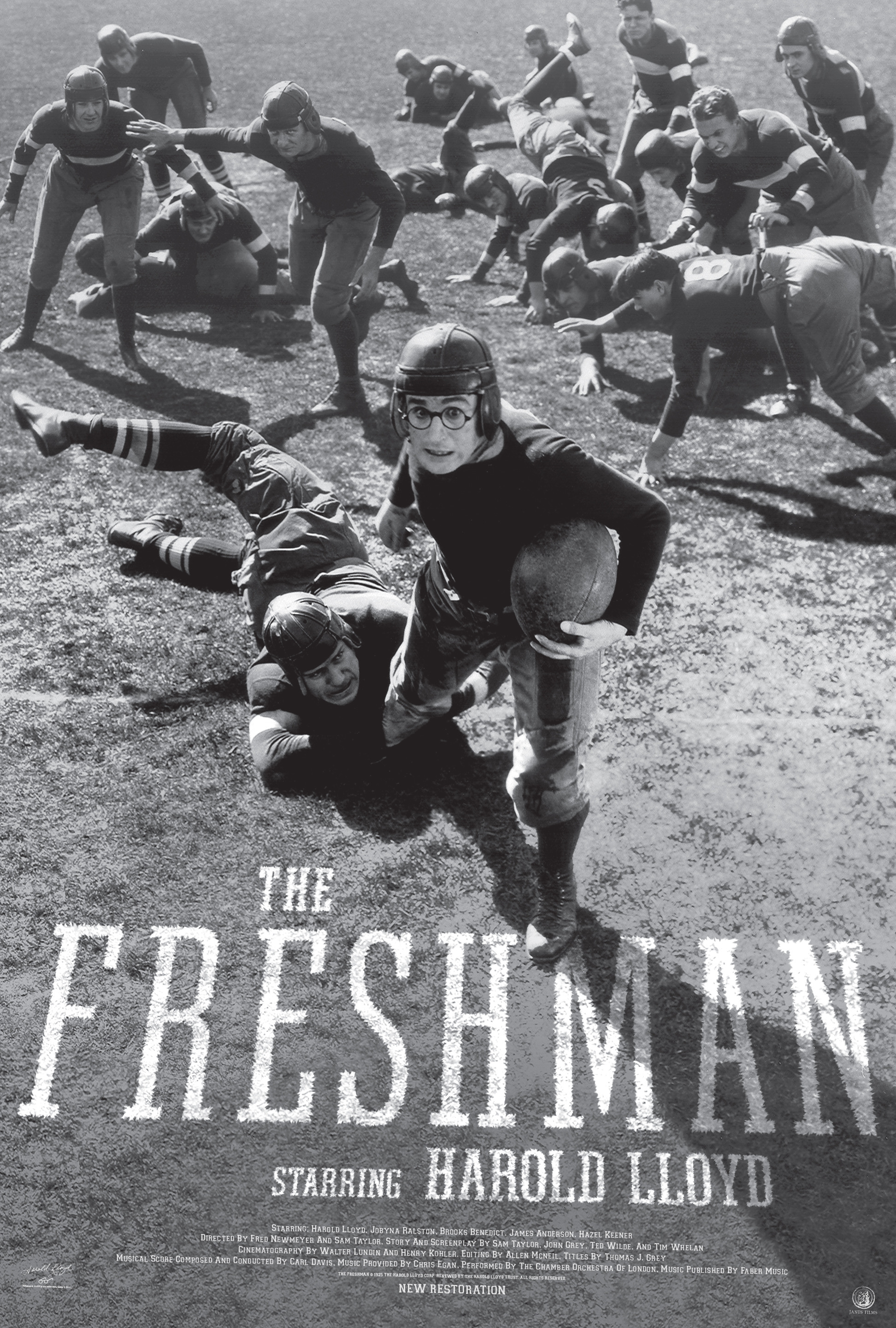 Mega Sized Movie Poster Image for The Freshman (#3 of 3)