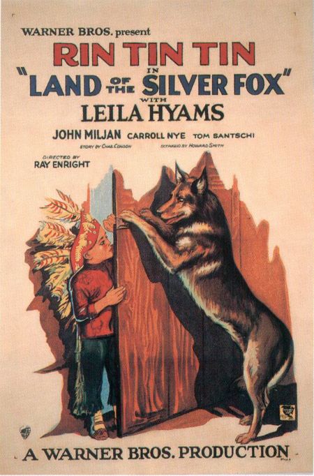 Land of the Silver Fox Movie Poster