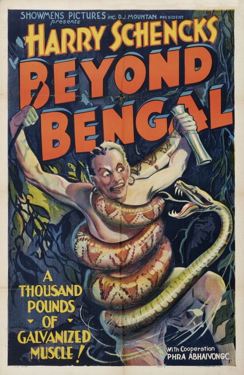Beyond Bengal Movie Poster