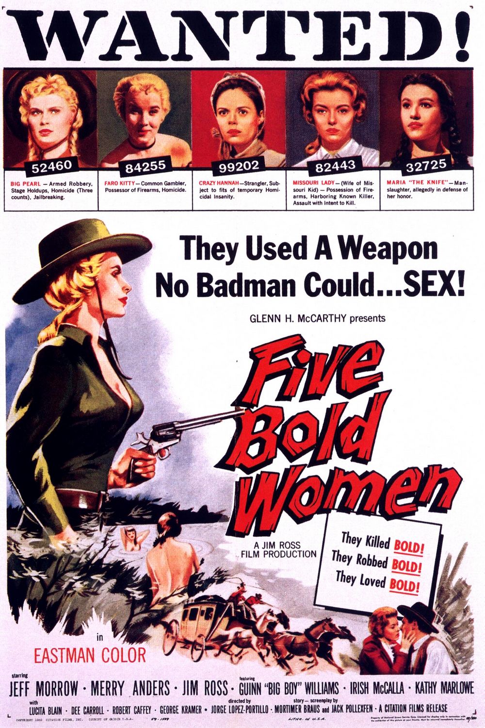 Extra Large Movie Poster Image for Five Bold Women 