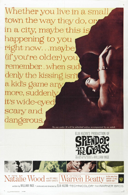 Splendor in the Grass Movie Poster