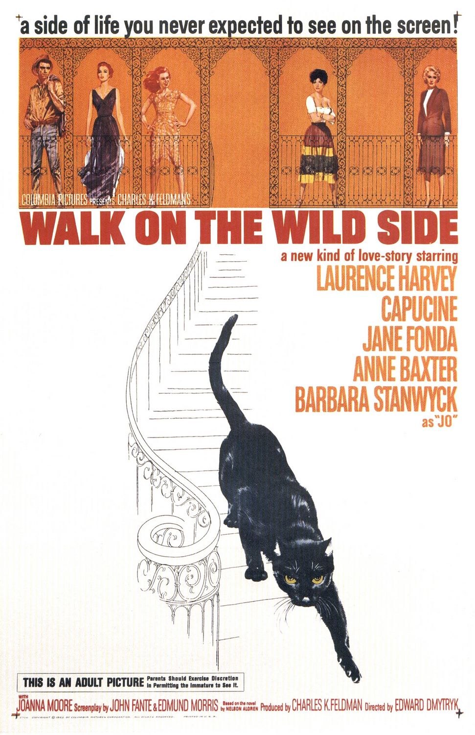 Extra Large Movie Poster Image for Walk on the Wild Side 