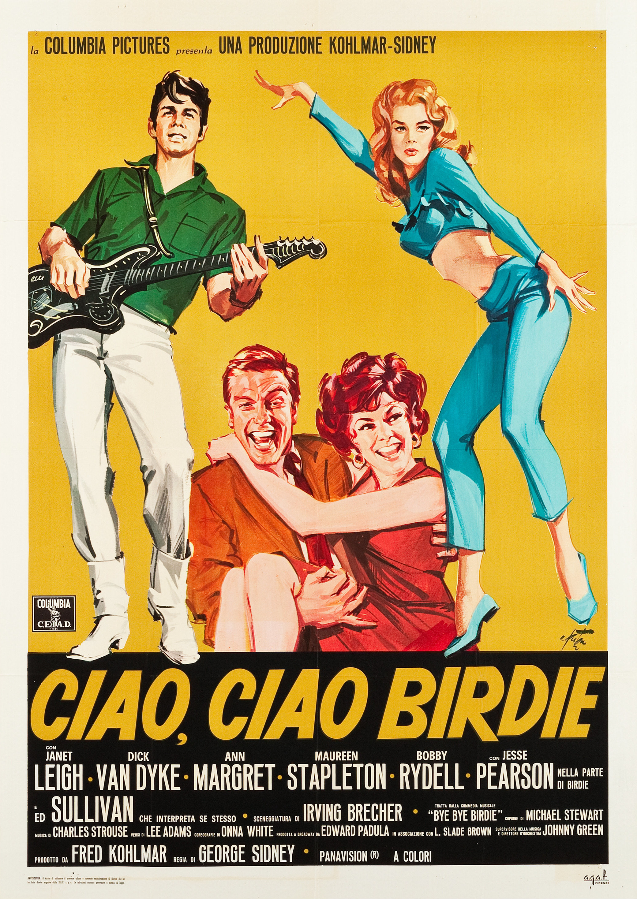 Mega Sized Movie Poster Image for Bye Bye Birdie (#2 of 2)