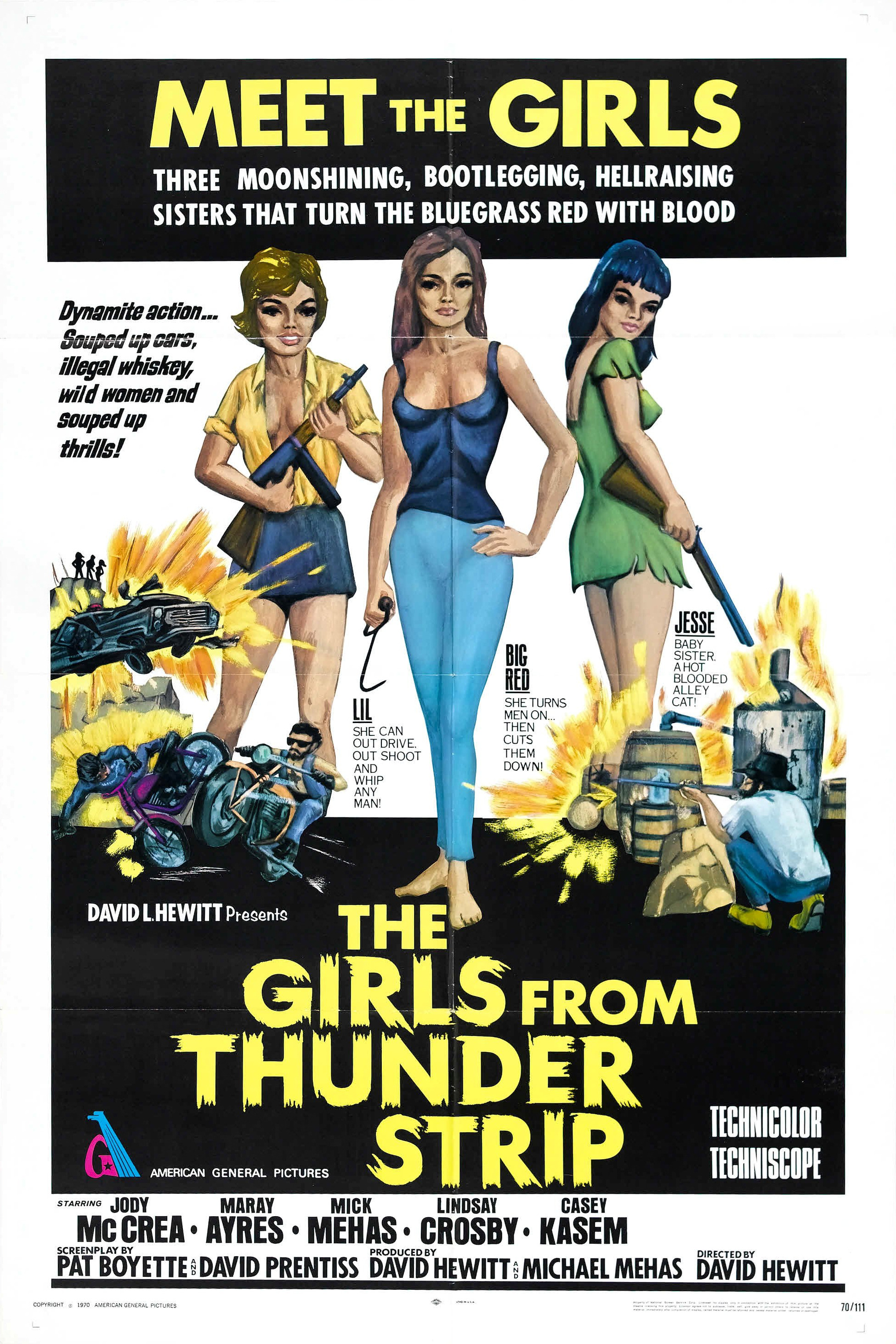 Mega Sized Movie Poster Image for The Girls from Thunder Strip 
