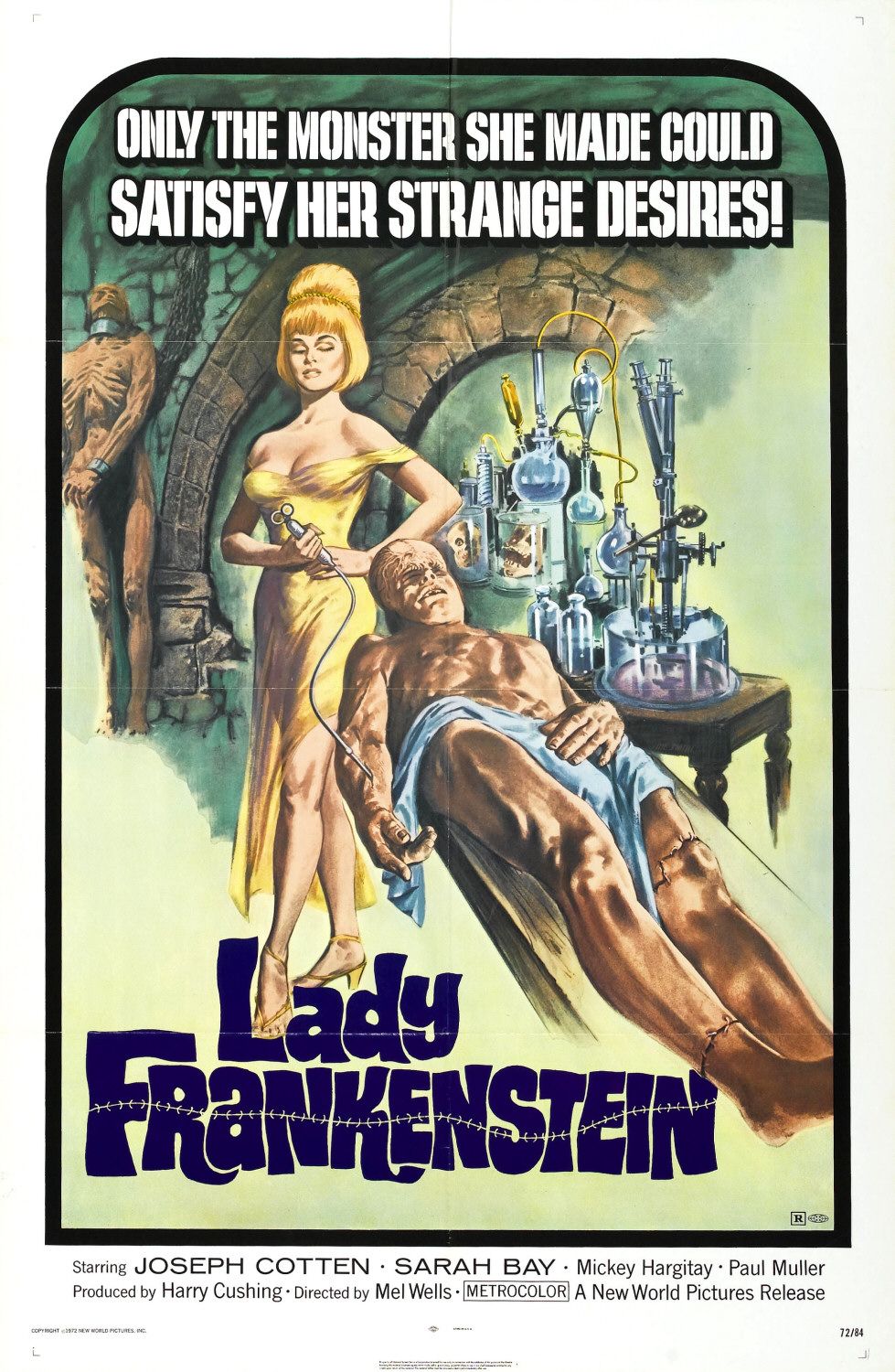 Extra Large Movie Poster Image for Lady Frankenstein 