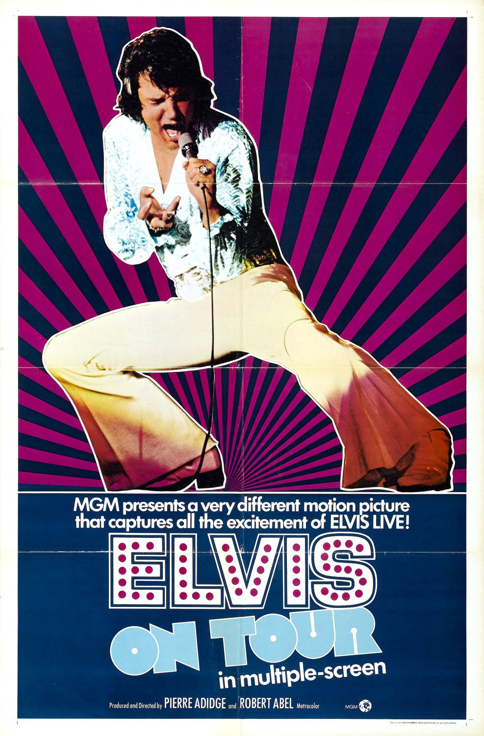 Extra Large Movie Poster Image for Elvis on Tour 