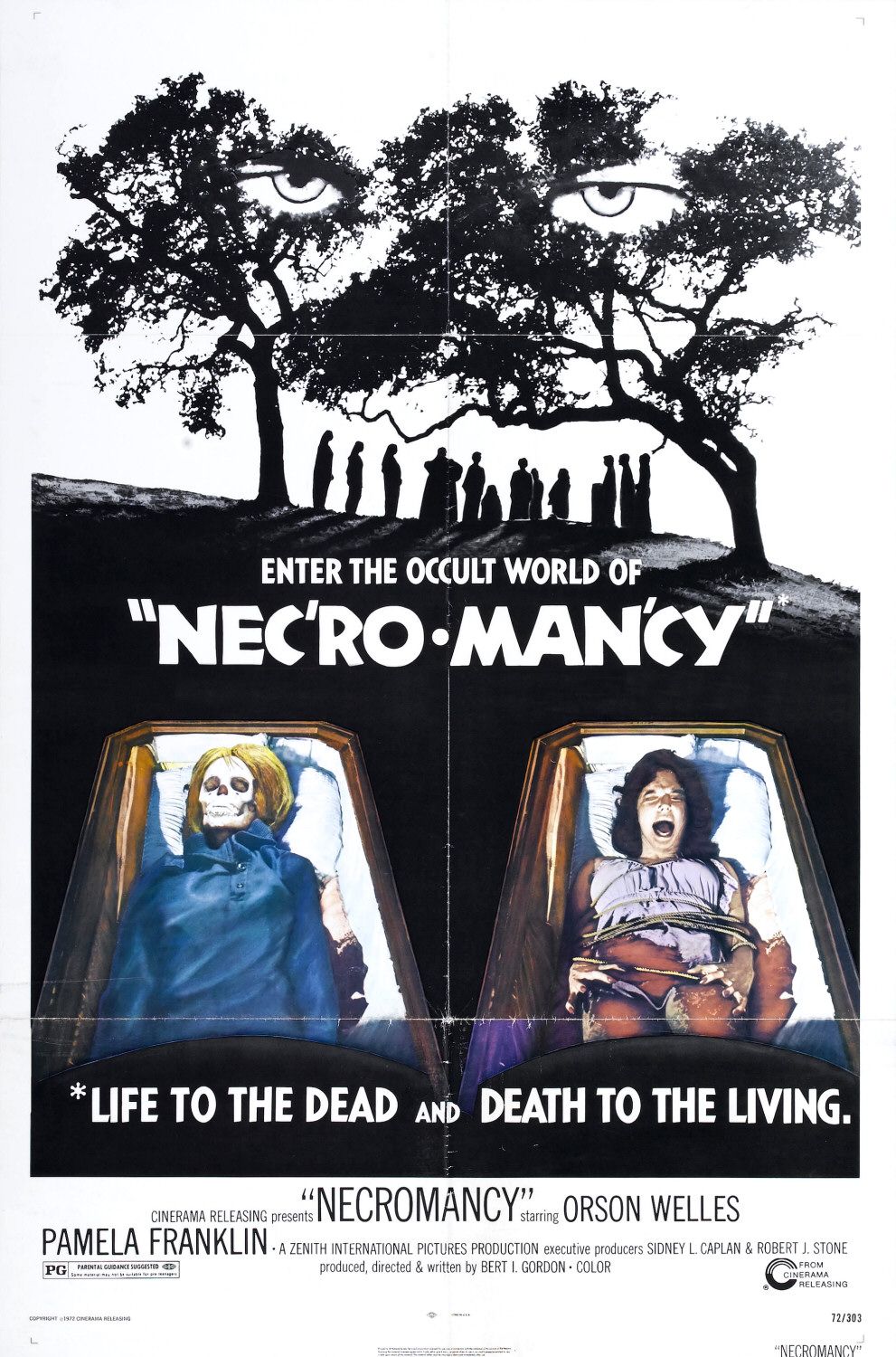 Extra Large Movie Poster Image for Necromancy 