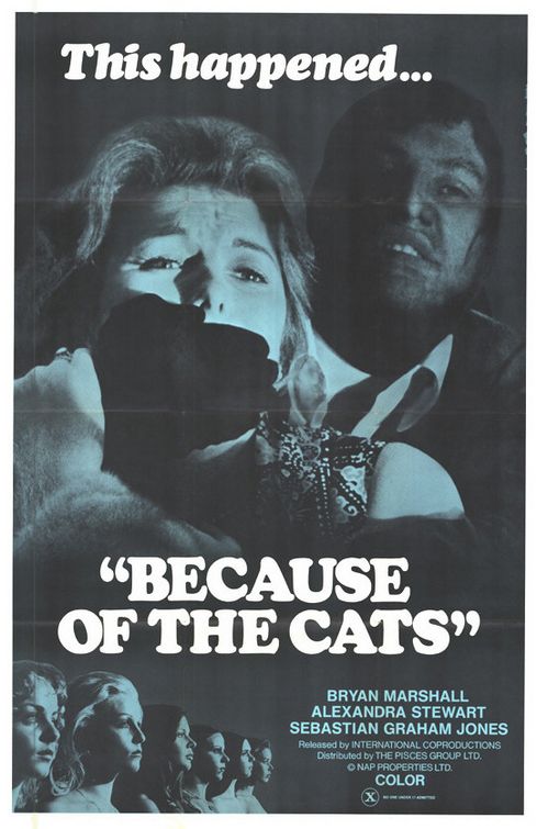 Because of the Cats Movie Poster