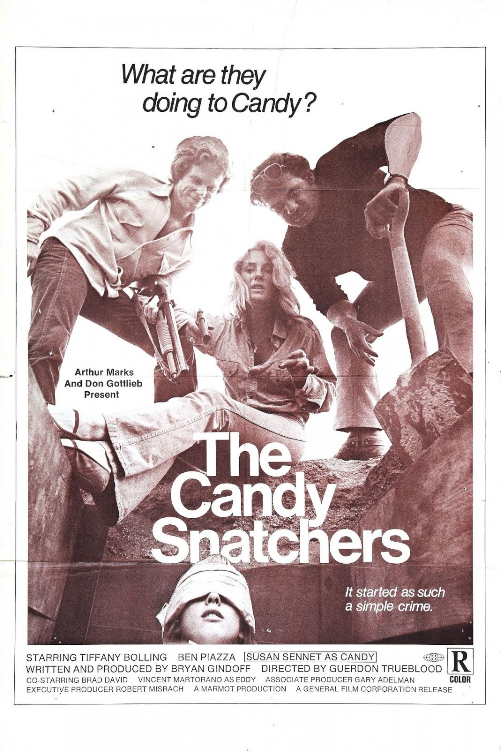 Extra Large Movie Poster Image for The Candy Snatchers 