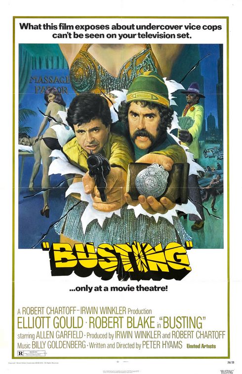 Busting Movie Poster