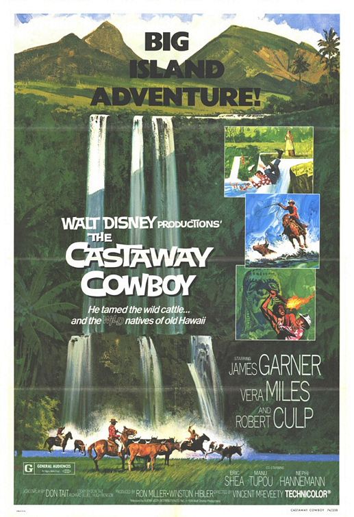 The Castaway Cowboy Movie Poster