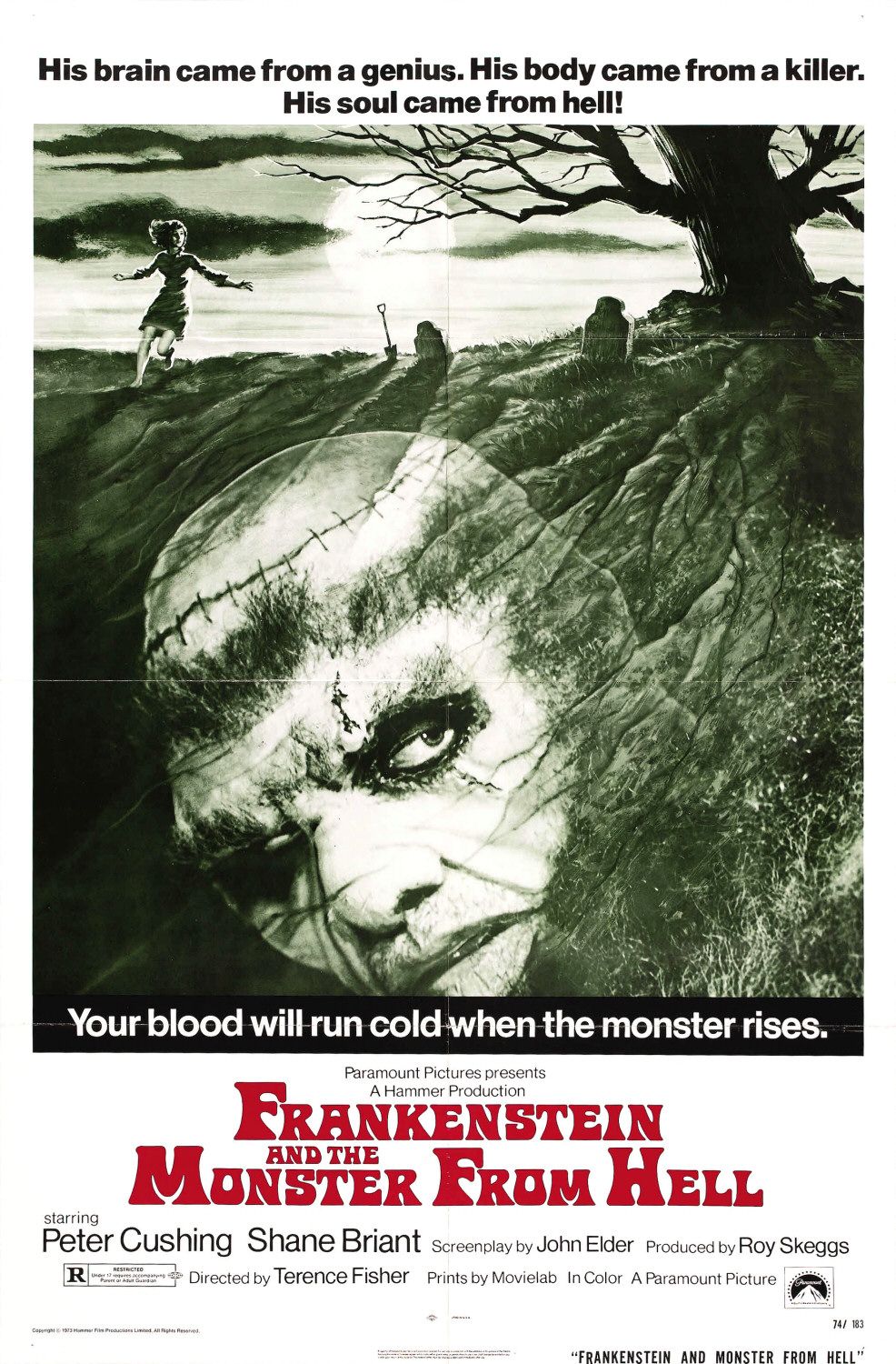 Extra Large Movie Poster Image for Frankenstein and the Monster from Hell 