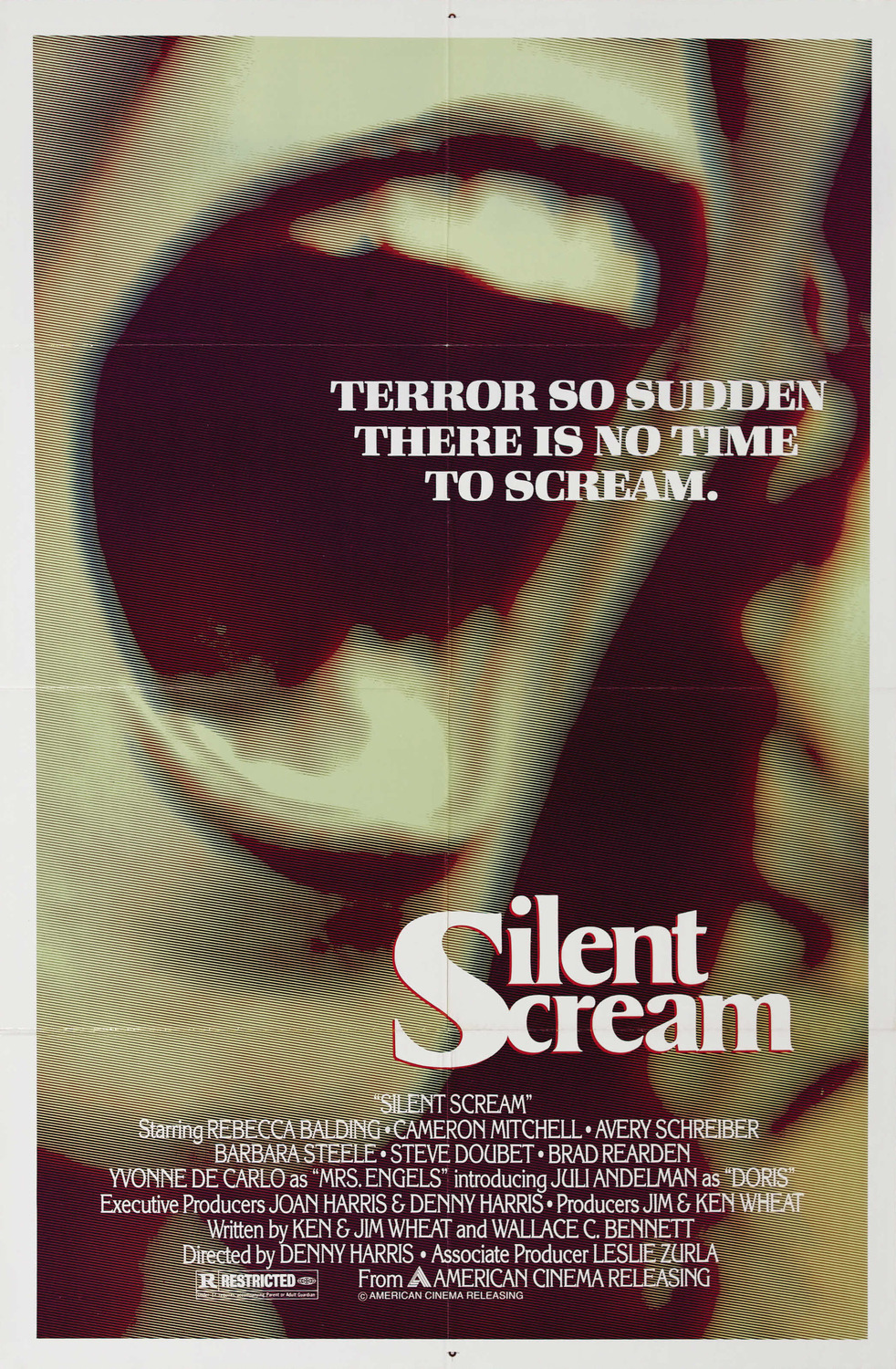 Extra Large Movie Poster Image for The Silent Scream 