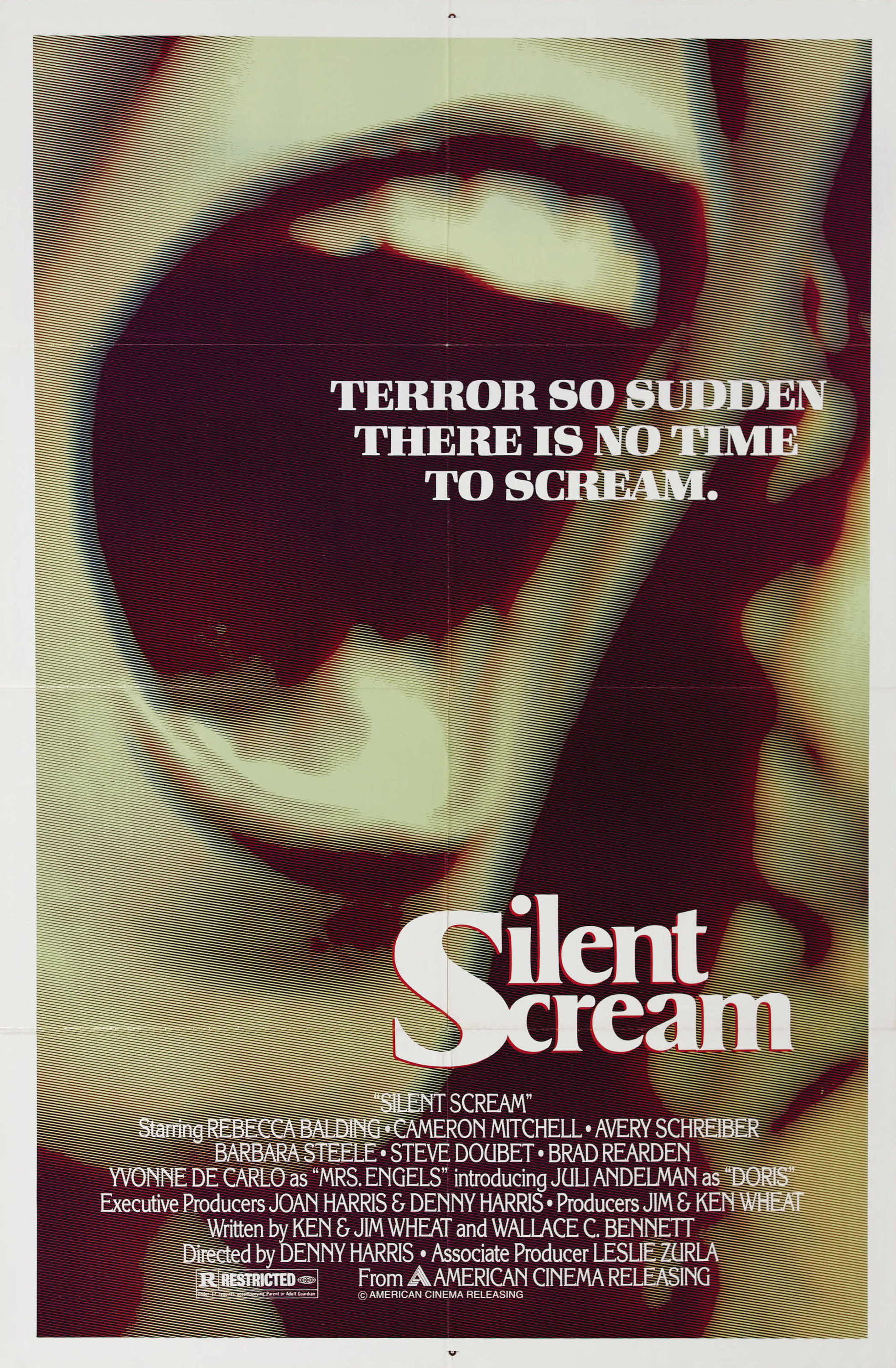 Mega Sized Movie Poster Image for The Silent Scream 