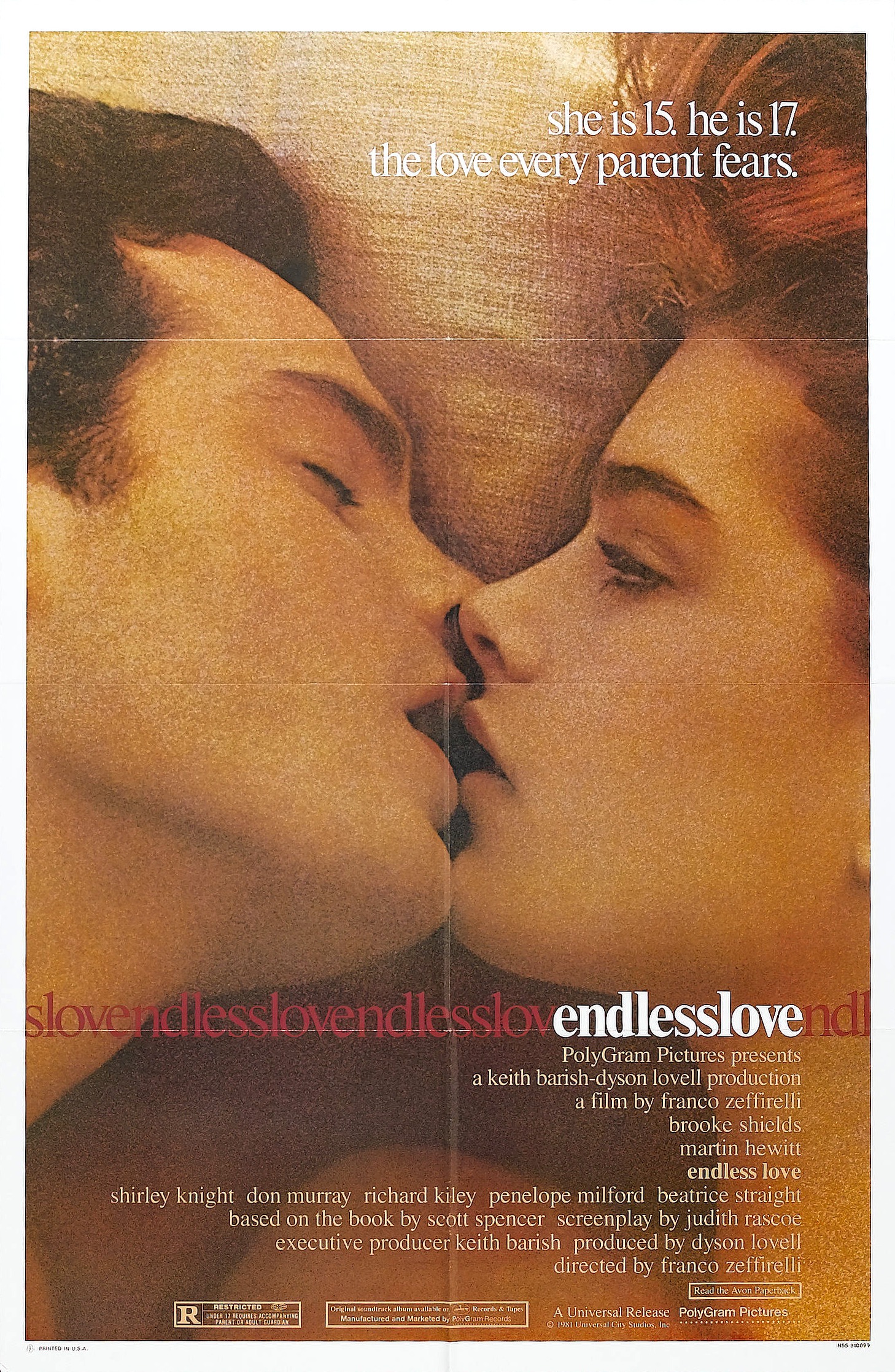 Mega Sized Movie Poster Image for Endless Love 