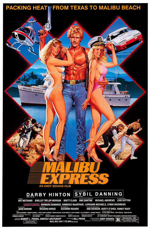 Malibu Express Movie Poster