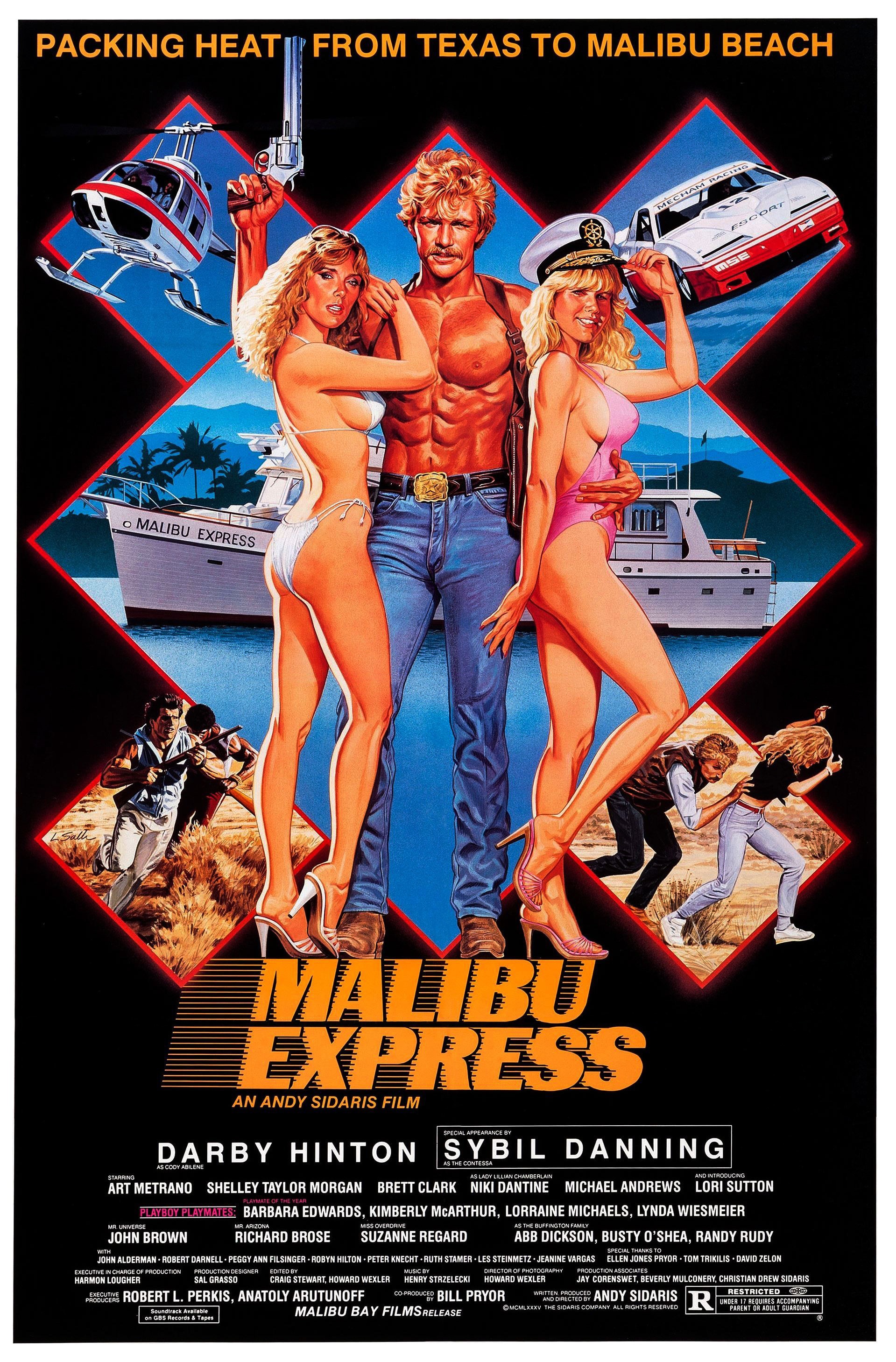 Mega Sized Movie Poster Image for Malibu Express 