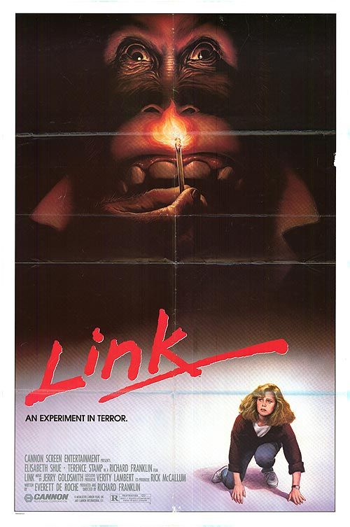 Link Movie Poster