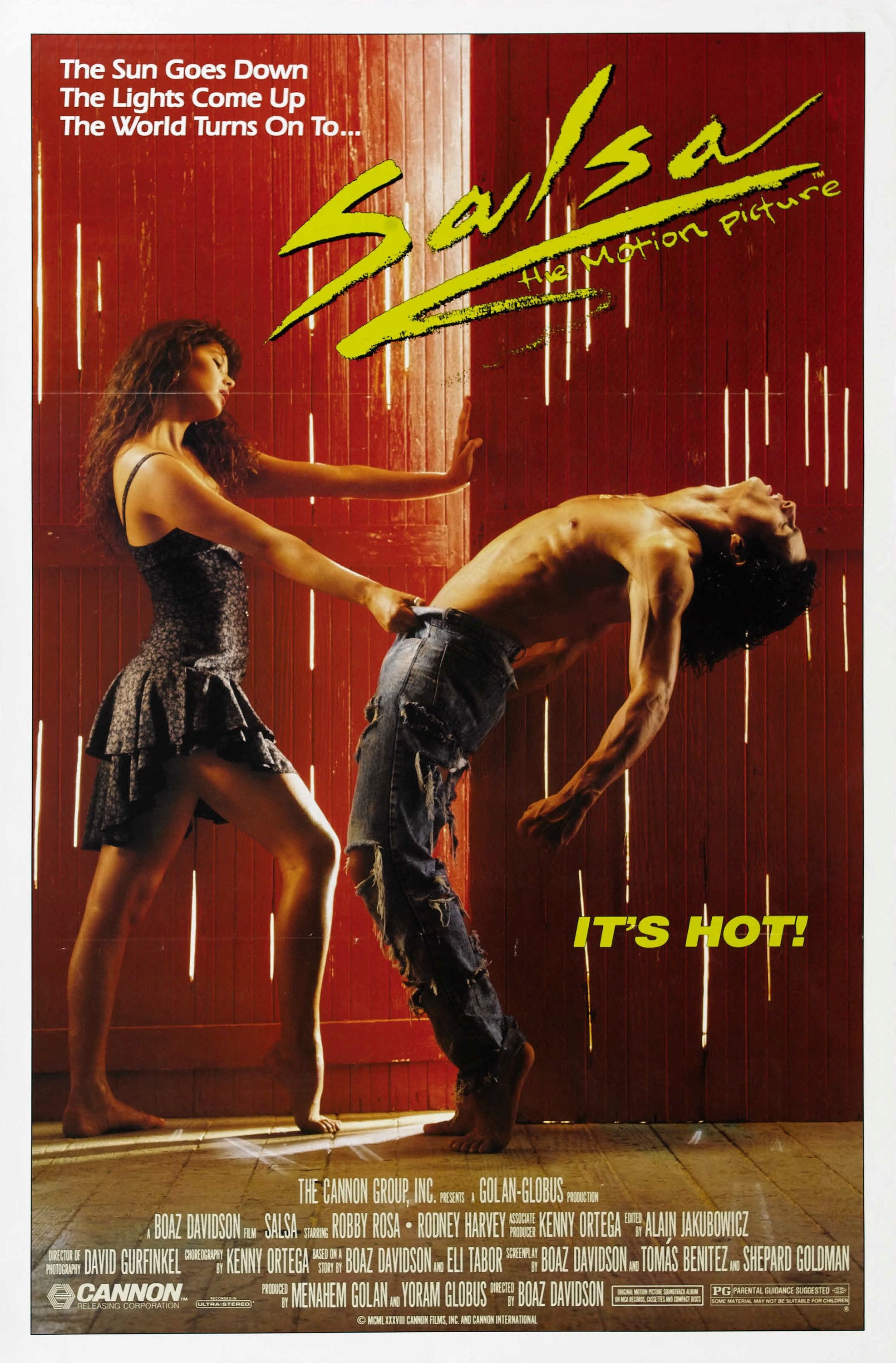 Mega Sized Movie Poster Image for Salsa (#2 of 2)
