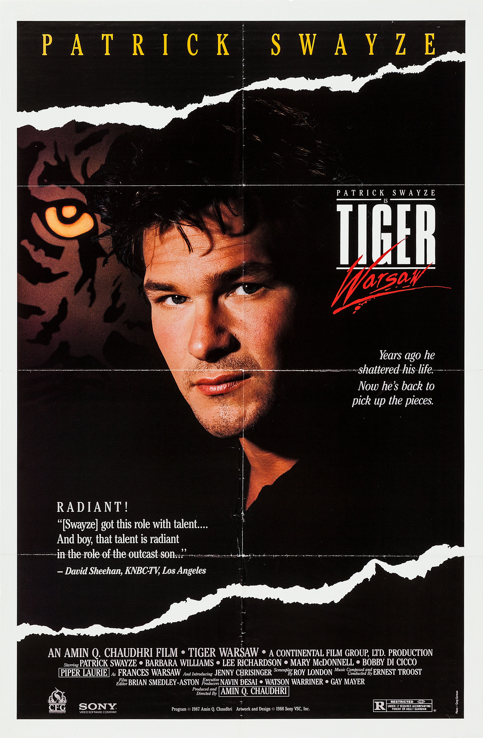 Mega Sized Movie Poster Image for Tiger Warsaw 