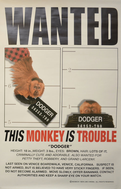 Monkey Trouble Movie Poster