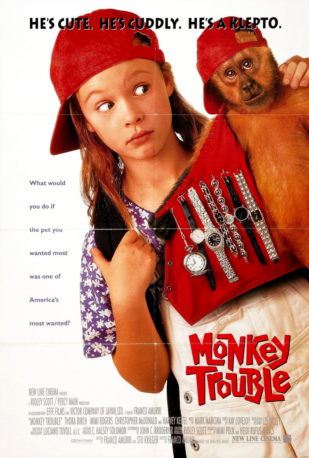 Extra Large Movie Poster Image for Monkey Trouble (#1 of 2)