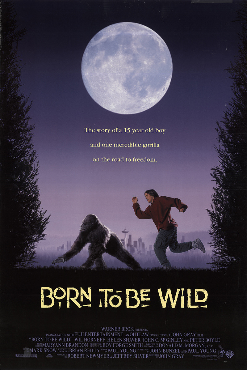 Extra Large Movie Poster Image for Born To Be Wild 