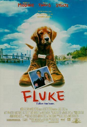 Fluke Movie Poster