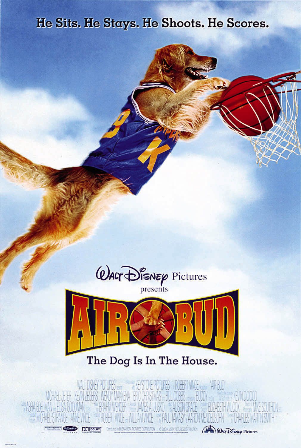 Extra Large Movie Poster Image for Air Bud 