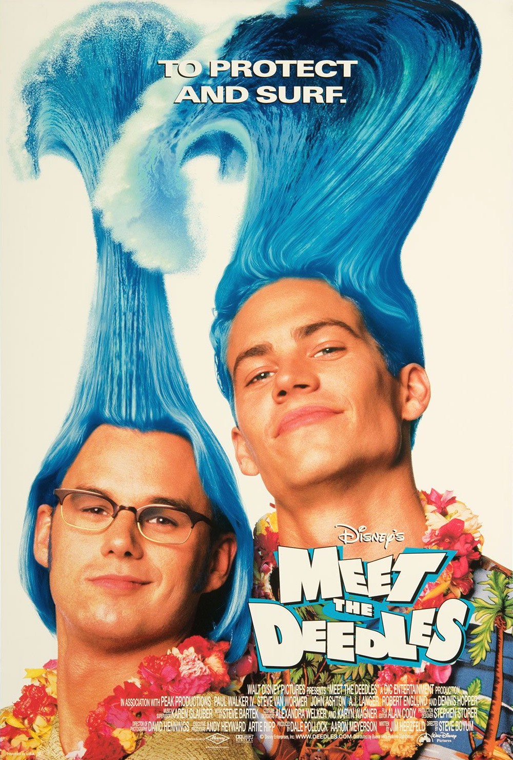 Extra Large Movie Poster Image for Meet the Deedles 