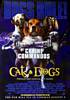 Cats & Dogs (2001) Thumbnail