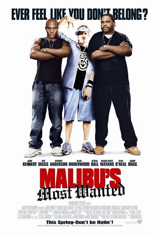 Malibu's Most Wanted Movie Poster