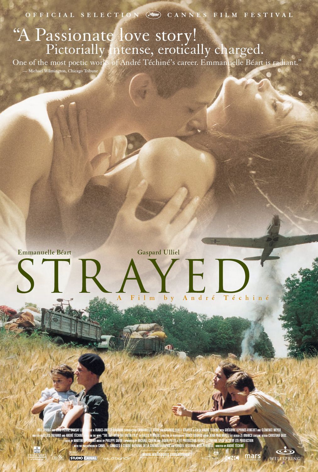 Extra Large Movie Poster Image for Strayed 
