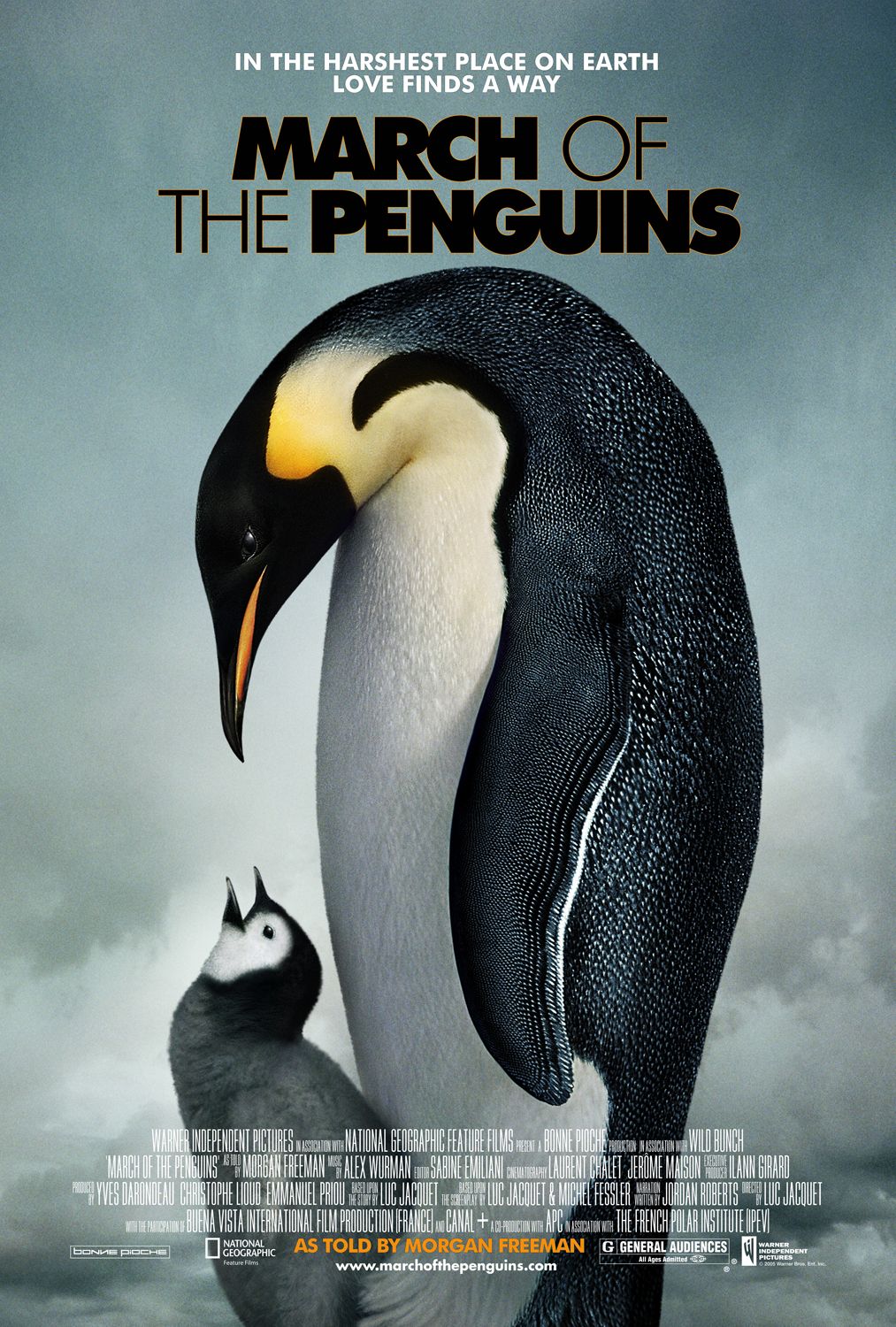 Extra Large Movie Poster Image for March of the Penguins (#1 of 3)