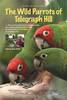 The Wild Parrots of Telegraph Hill (2005) Thumbnail