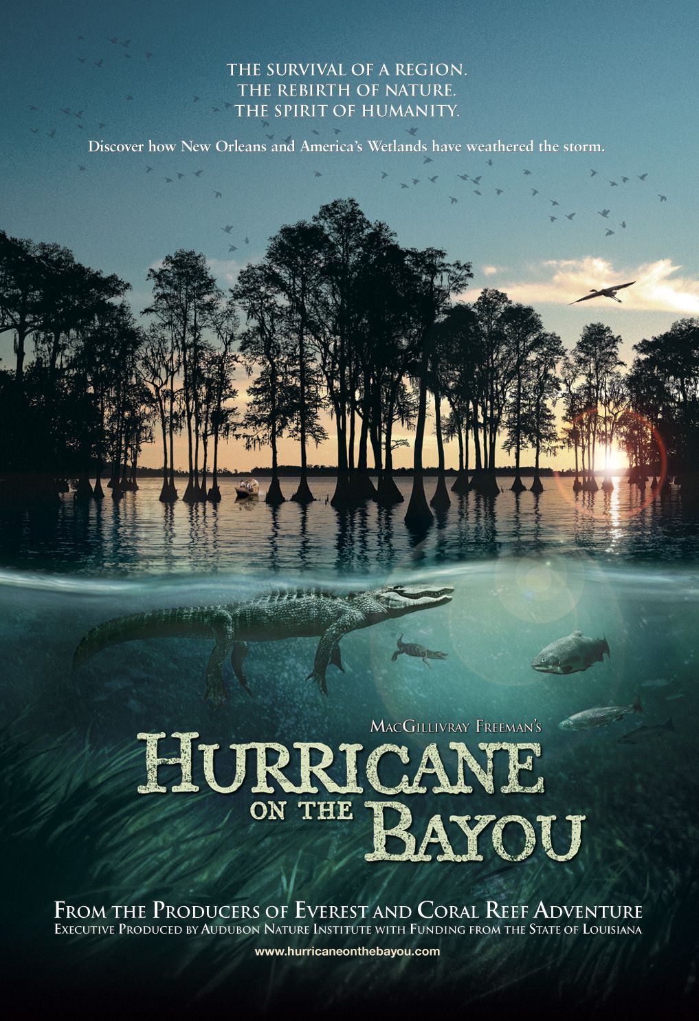 Extra Large Movie Poster Image for Hurricane on the Bayou 