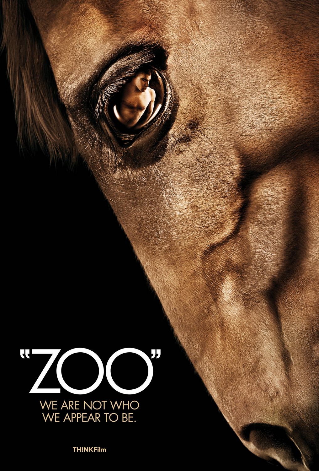 Extra Large Movie Poster Image for Zoo 