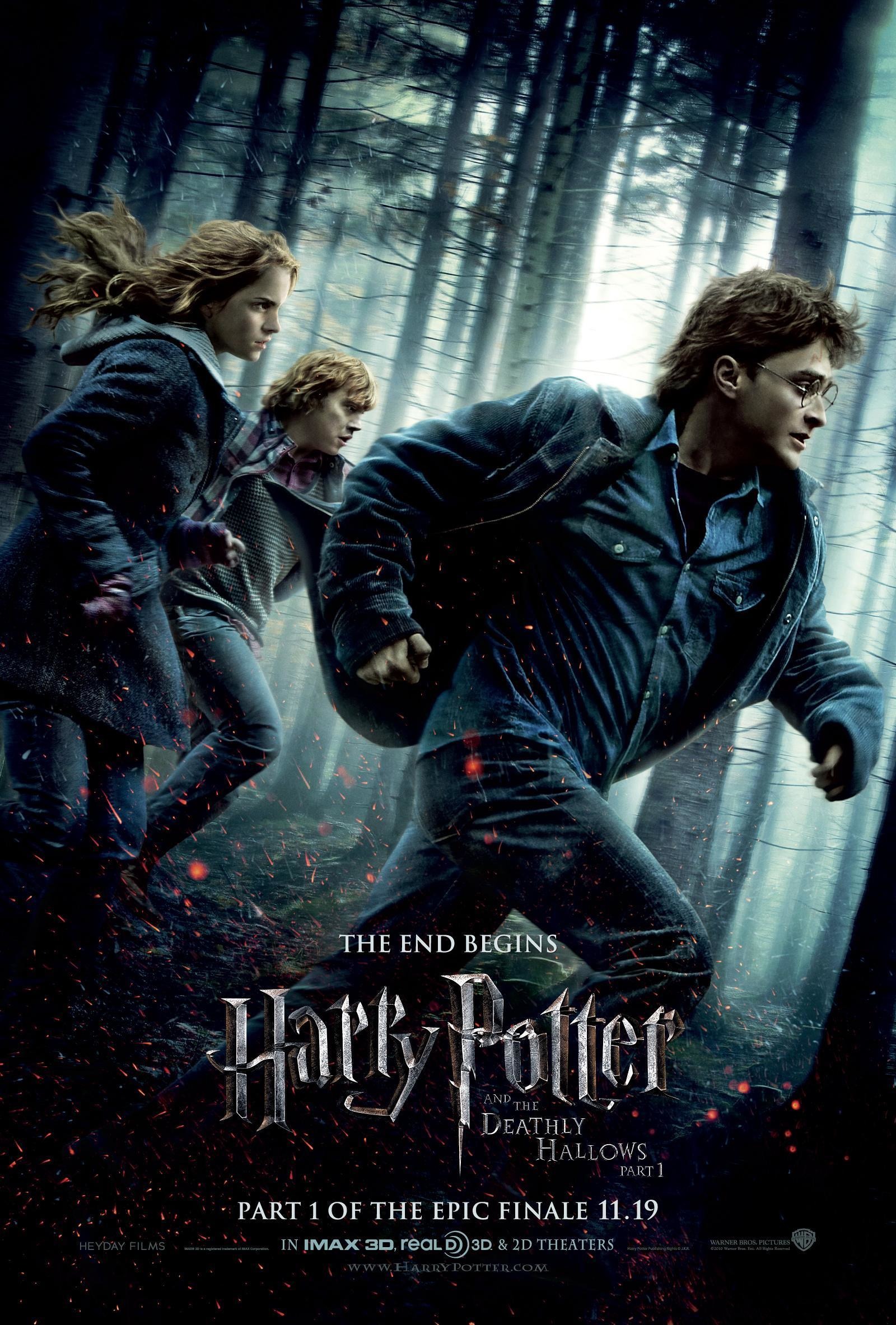 Mega Sized Movie Poster Image for Harry Potter and the Deathly Hallows: Part I (#5 of 20)