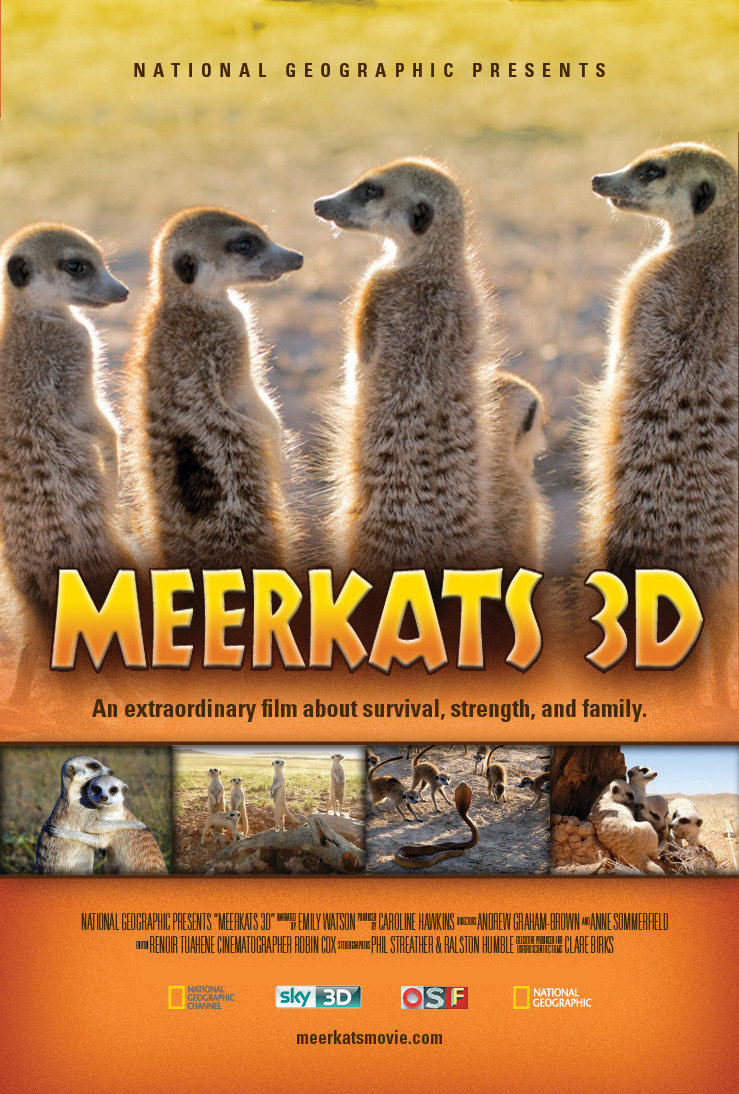 Extra Large Movie Poster Image for Meerkats 3D 
