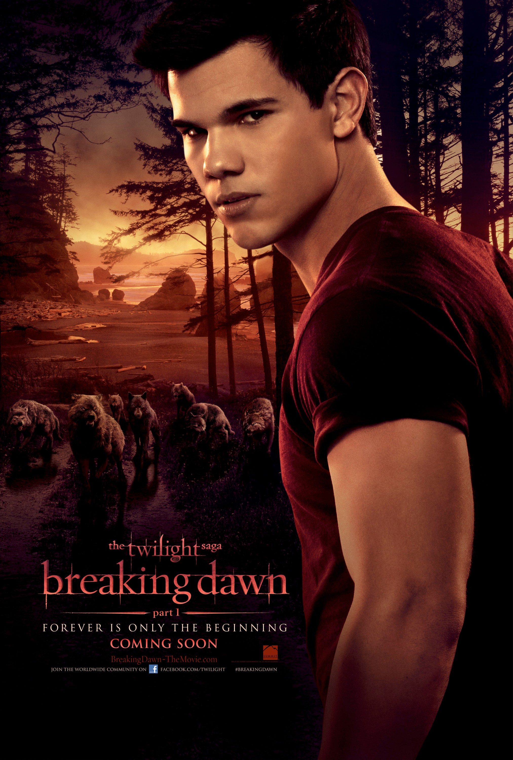 Mega Sized Movie Poster Image for The Twilight Saga: Breaking Dawn - Part 1 (#3 of 7)