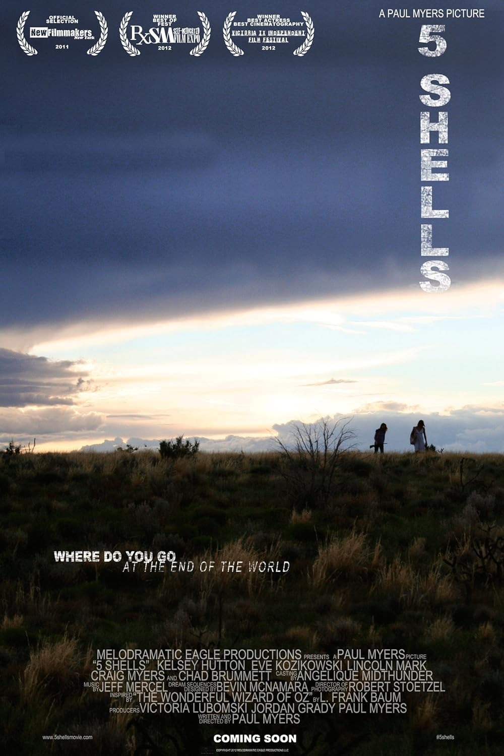 Extra Large Movie Poster Image for 5 Shells 