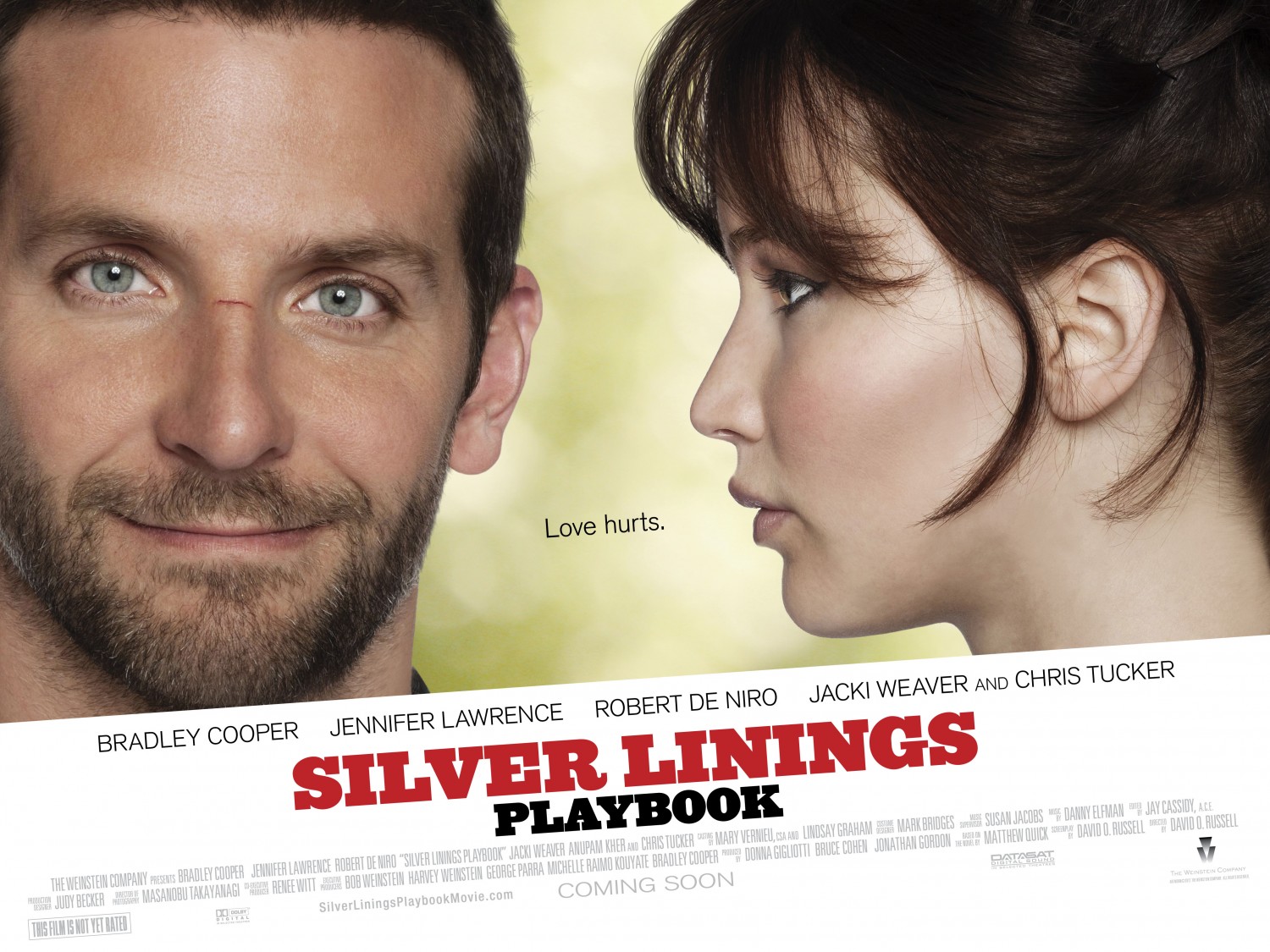 Extra Large Movie Poster Image for Silver Linings Playbook (#2 of 6)