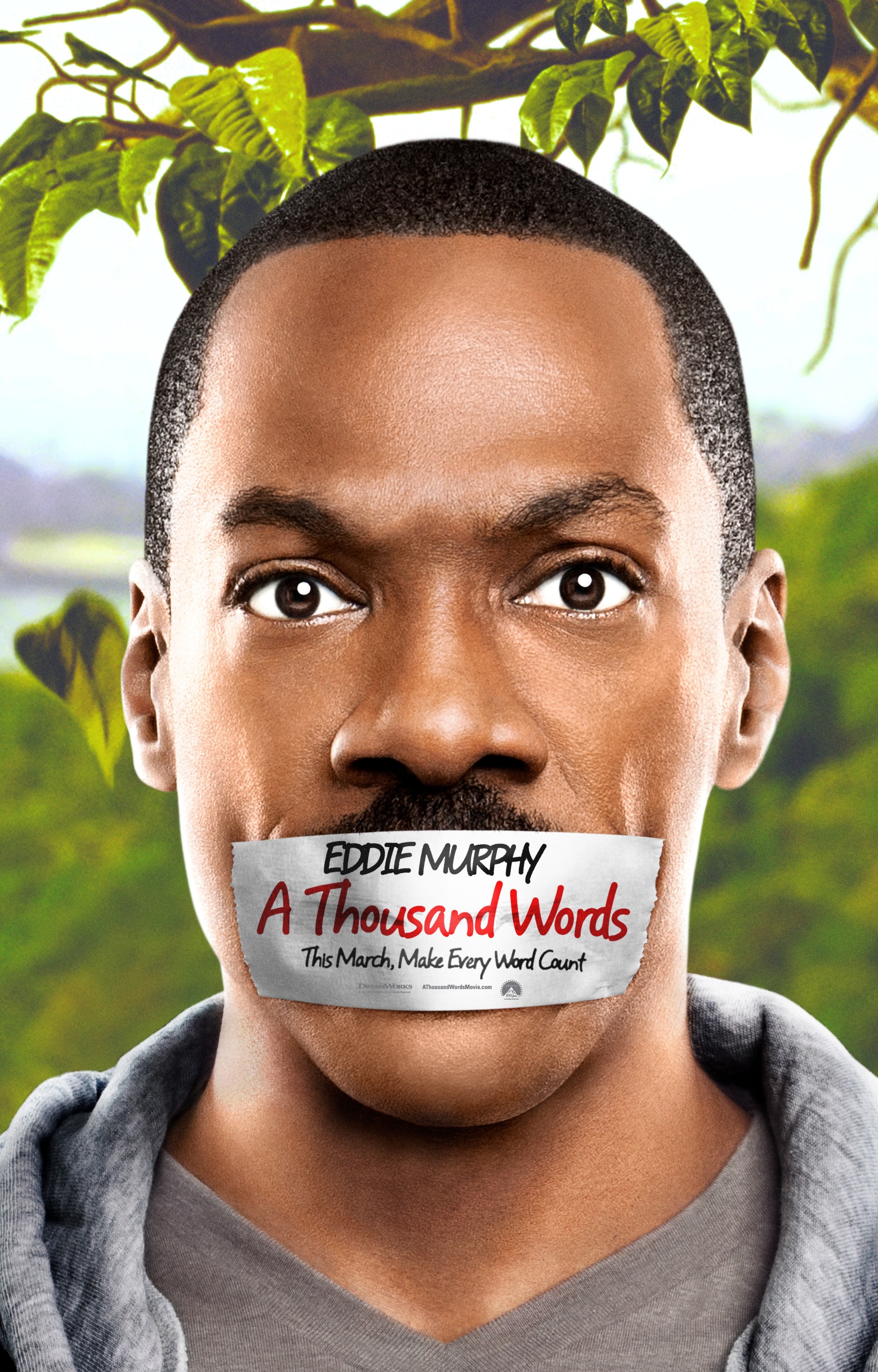 Mega Sized Movie Poster Image for A Thousand Words (#1 of 2)
