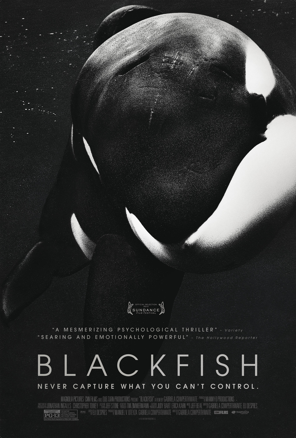Extra Large Movie Poster Image for Blackfish (#1 of 3)
