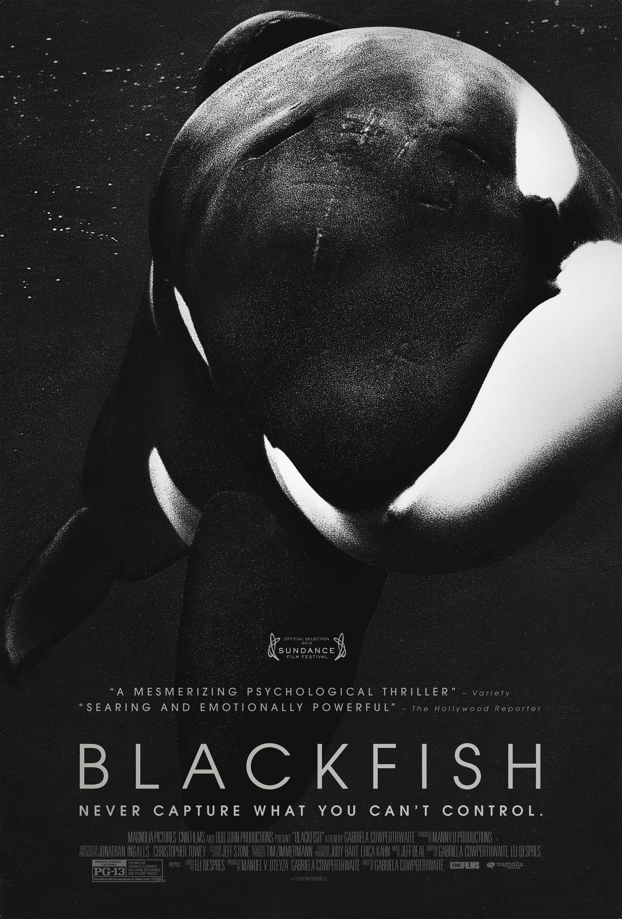 Mega Sized Movie Poster Image for Blackfish (#1 of 3)