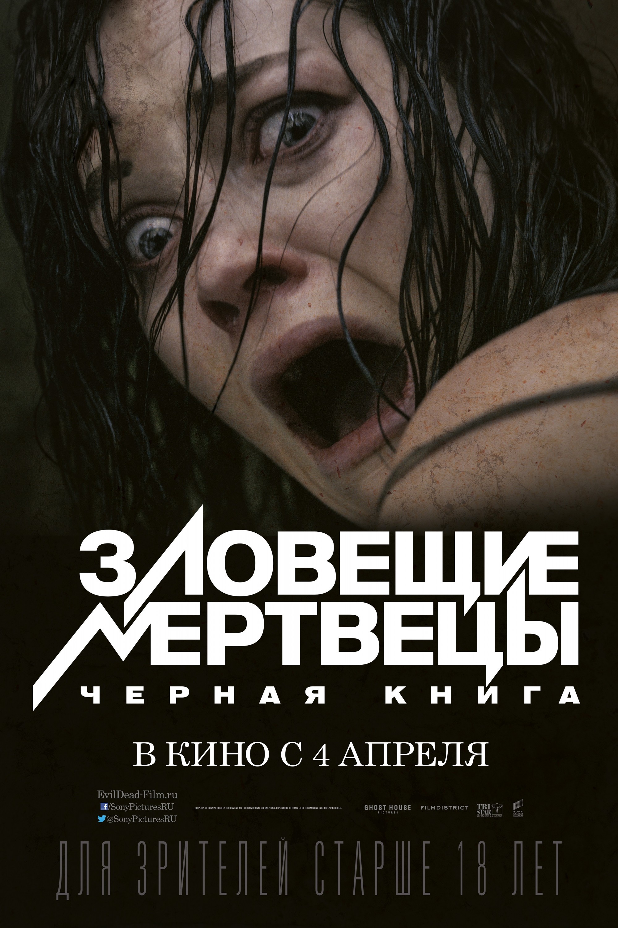 Mega Sized Movie Poster Image for Evil Dead (#3 of 5)