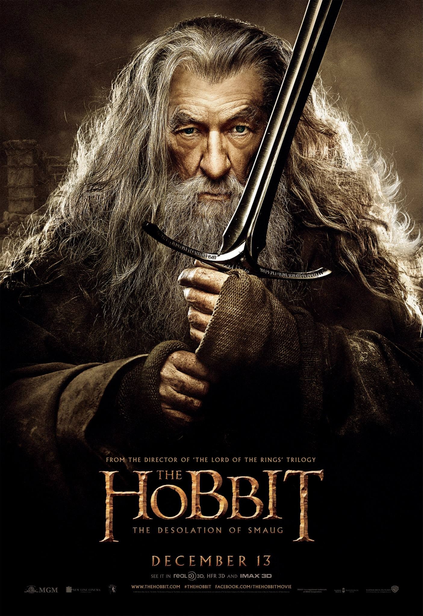 Mega Sized Movie Poster Image for The Hobbit: The Desolation of Smaug (#10 of 33)
