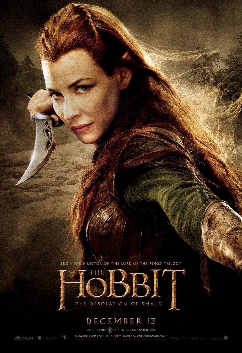 Extra Large Movie Poster Image for The Hobbit: The Desolation of Smaug (#13 of 33)