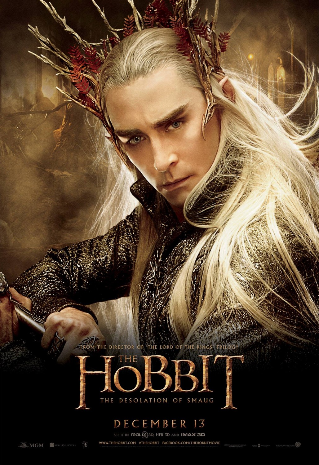 Extra Large Movie Poster Image for The Hobbit: The Desolation of Smaug (#14 of 33)